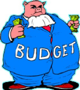 Budget-hog.jpg