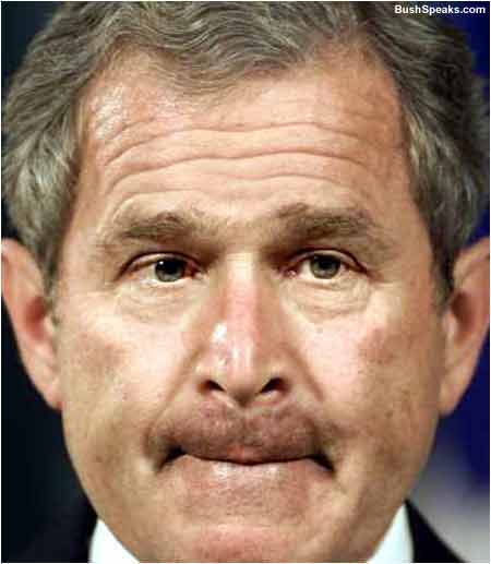 bush_noteef.jpg